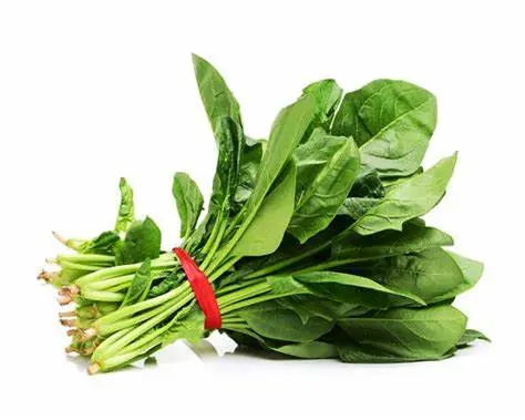 PALAK-1KG